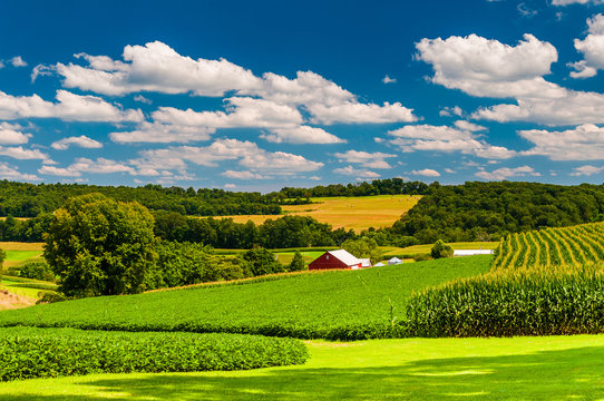 Pantry & Flour at Rural Valley Farms