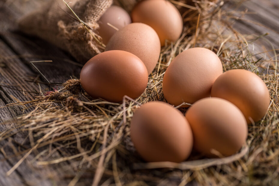 Pasture-Raised vs Store Eggs | Rural Valley Farms PA