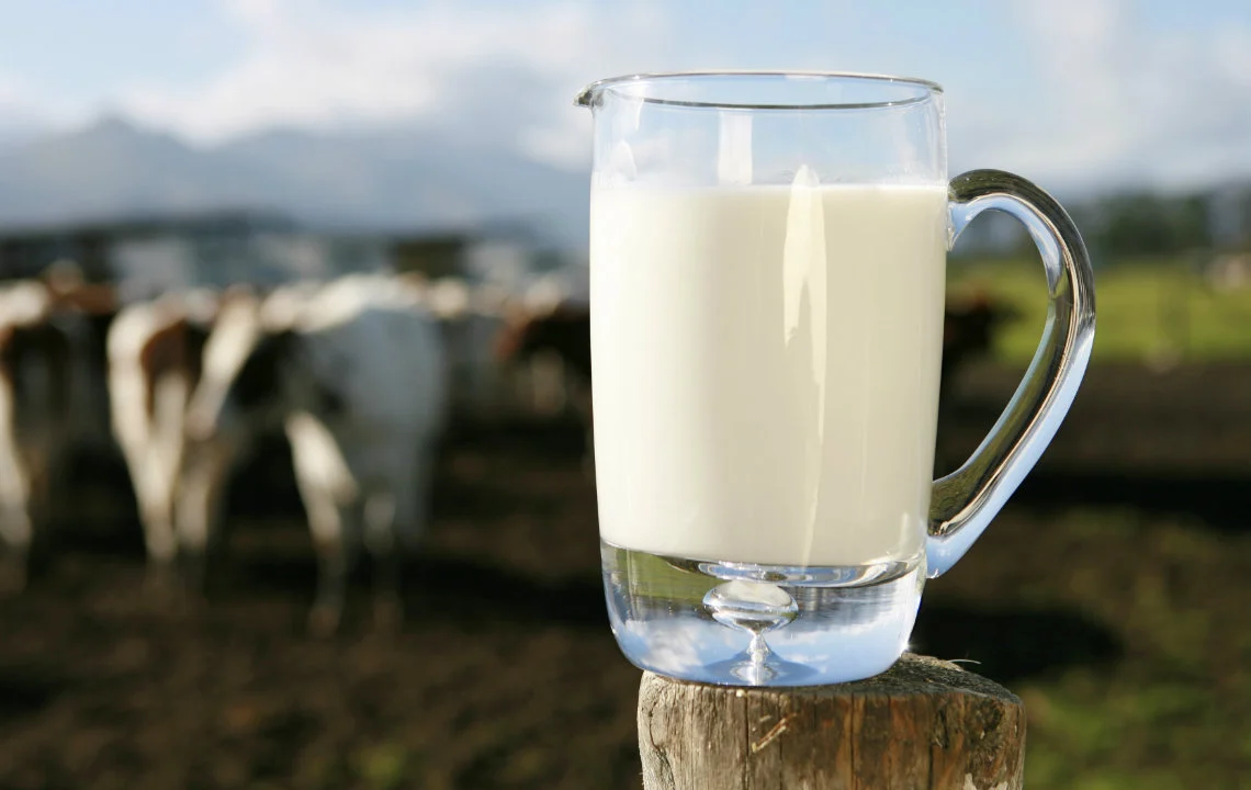 Pure Non-Homogenised Milk