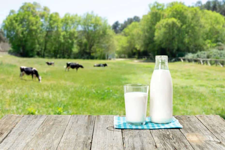 What Is A2 Raw Milk and Is It Worth It? | Rural Valley Farms PA