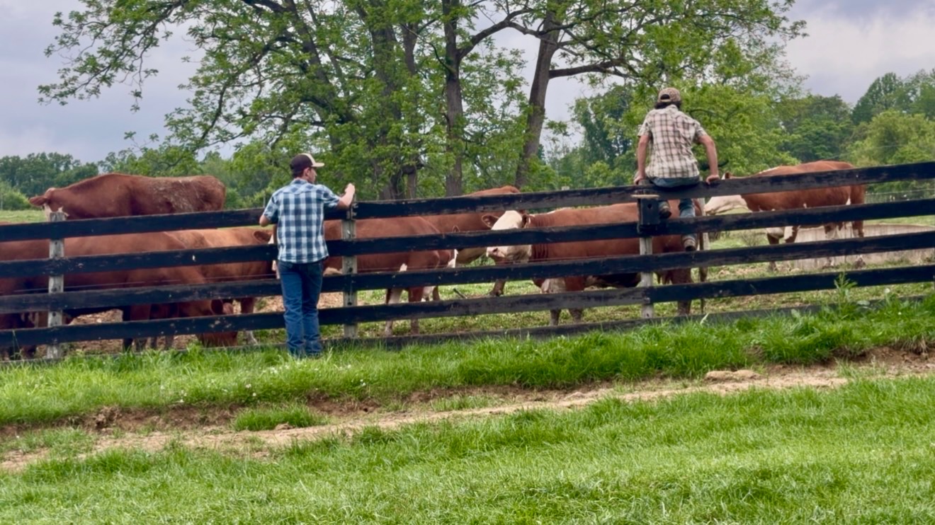 Family farm, Washington County PA